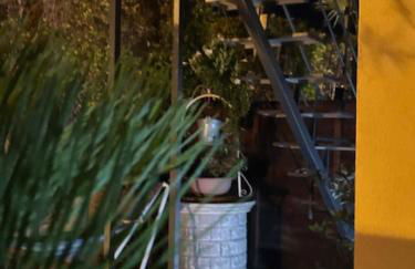 Villa Rosa - Foto 45