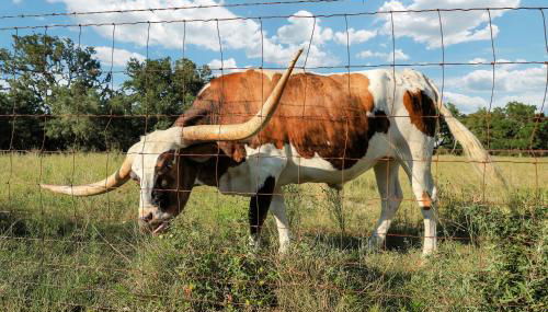 Box 3- A Birdy Vacation Rental - Foto 3