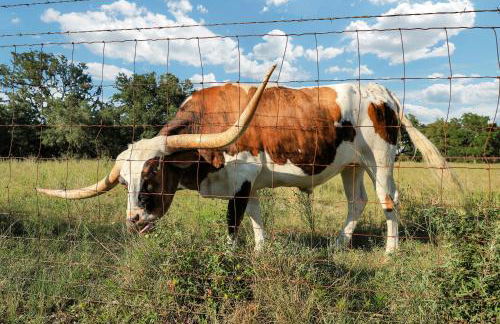 Box 3- A Birdy Vacation Rental - Foto 3