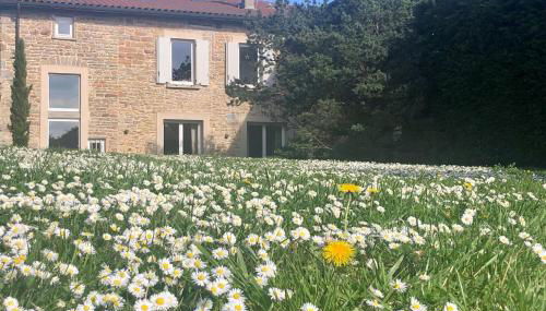 Le Cerf - House with view and swimming pool - Photo 3