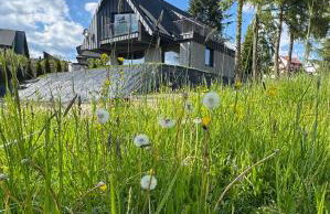 Trzy Szyszki Maniowy Domki Jezioro Czorsztyńskie Balia oraz Sauna w cenie - Photo 3