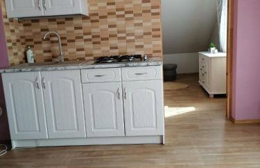 Całoroczny Domek Góry Bieszczady - Foto 14