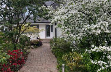 Dünenhaus Garten - Foto 25