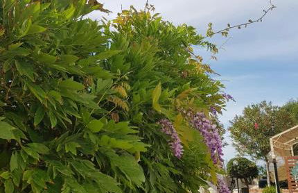 La Caletta di Afrodite - Foto 52