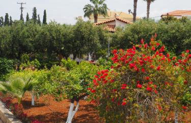 Villa Lemonia - Foto 25