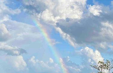Eco Friendly Secluded OceanView Pool near Key West - Foto 6