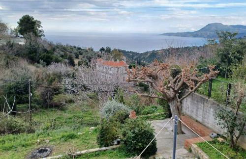 The Arch House - Photo 6