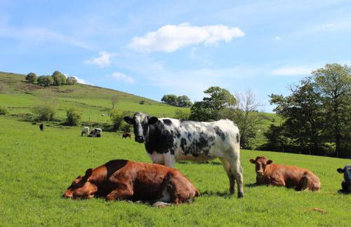 Riding house Farm Cottages - Photo 25
