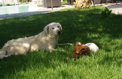 Agriturismo Il Pozzo - Foto 35