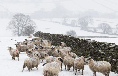 Broomfield Cottage Nr Pickering - DOGS STAY FOR FREE - Foto 41