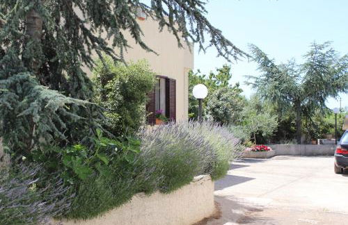 Fiordilavanda - Foto 16