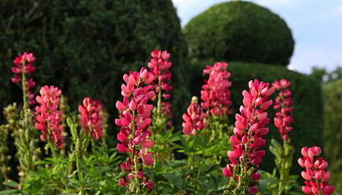 The Moonraker Hotel - Foto 5, Garden