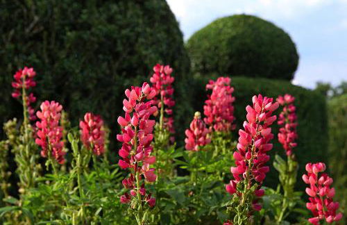 The Moonraker Hotel - Foto 5