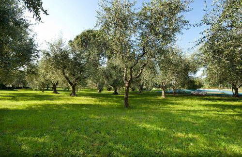 Agrigturismo Monte Cicogna - Foto 31