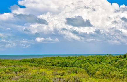 Key Largo Baha Penthouse Ocean Pointe 1416 - Foto 34