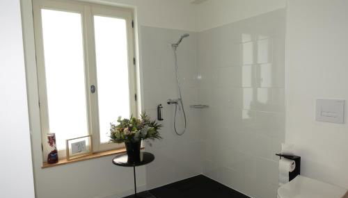 Demeure de Flore - Hôtel Particulier au Cœur de Brive comprenant 8 appartements de charme - Foto 3