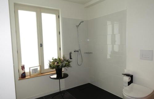 Demeure de Flore - Hôtel Particulier au Cœur de Brive comprenant 8 appartements de charme - Foto 3