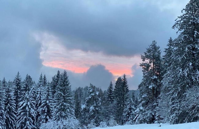 Ferienwohnung im Malerischen Kniebis - Foto 32