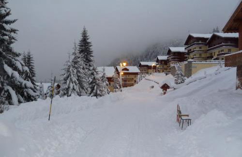 Chalet Jonquille - Foto 24