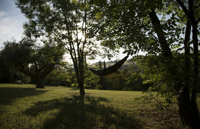 Villa Oleandri - Villa Oleandri - Photo 12