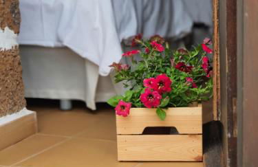 Viña Camello - Foto 29