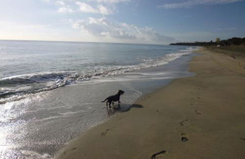 Villa Miramonte Comfortable Vacation Home - Foto 79