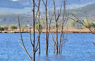 Finca Bellas Vistas - Foto 62