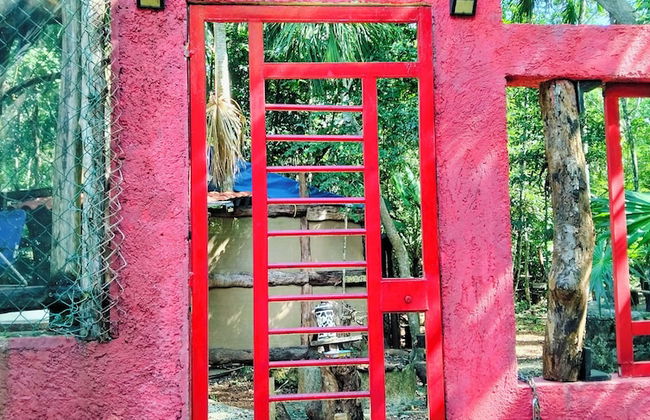 Hotel y Temazcal en Solferino - Foto 77