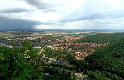 Apartment in Falkenstein With Wood-burning Stove - Foto 44