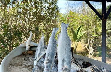 Fancy duplex penthouse in Carib Playa Cabopino - Photo 51