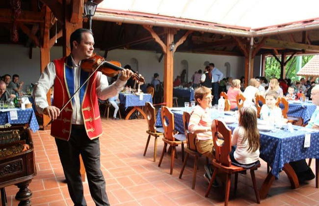 Escursione alla Pusta e spettacolo equestre - Foto 7