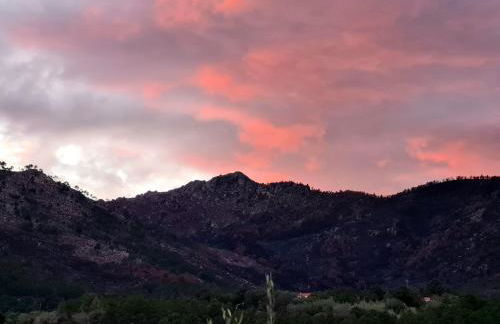 Casa Vista da Serra - Covilhã - Foto 18