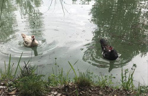 Agriturismo Colloreto - Foto 30