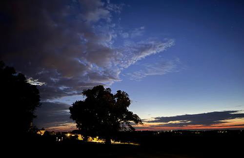 Vineyard Cabins at Château Puynard - Foto 57
