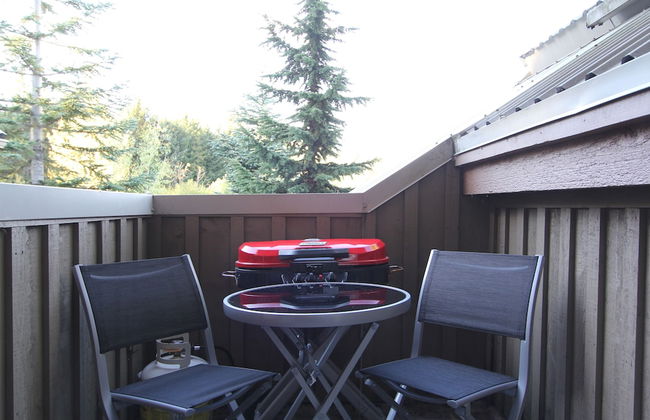 Symphony Condos by Whistler Retreats - Photo 23