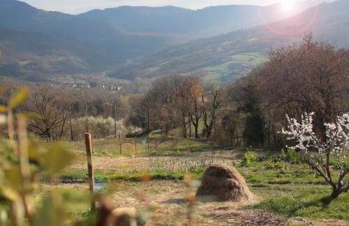 Ca' d'Alfieri - Foto 64