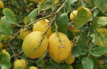 Apartamento Puesta De Sol - Foto 36