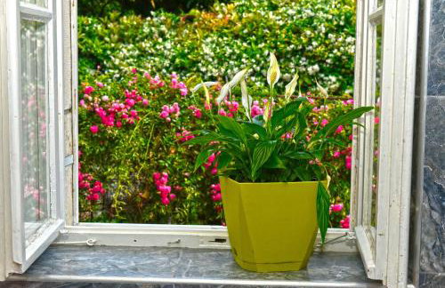 Apartment Ljubica Dubrovnik Center - Foto 66