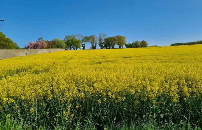 Holiday Apartment Auszeit - Photo 14