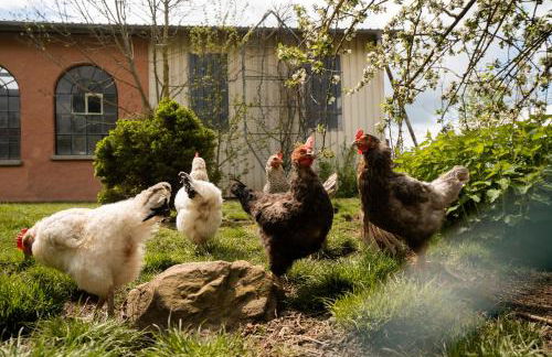 Ferienhof Homann Sauerland - Foto 68