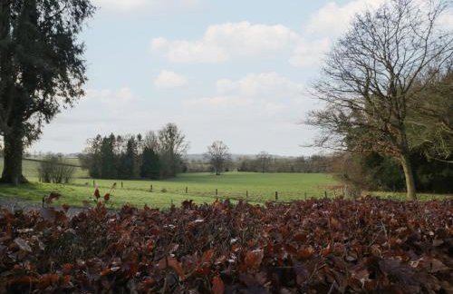 Woodlands Cottage - Photo 41