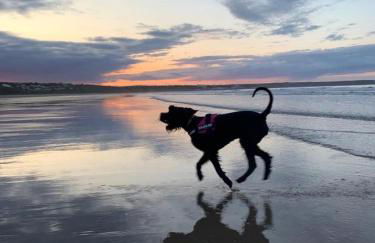 2 Bed Bungalow - Sleeps 4 - Pets - Parking - Wifi - Foto 14