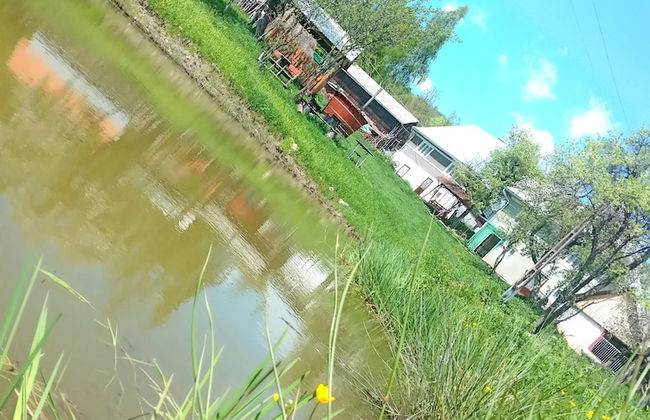 Rustic Wild Retreat IN Romania - Foto 43