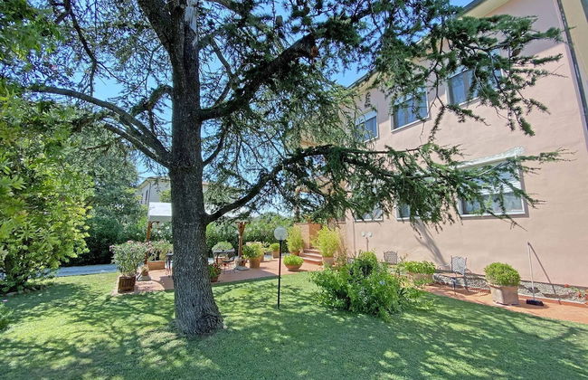 La Mimosa - Photo 53