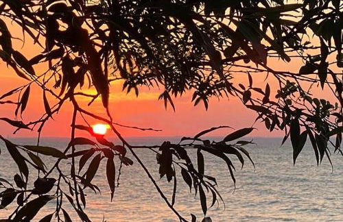 Fewo Horst 3 blau - Foto 16