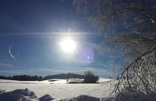 Bergnest Bad Bayersoien - Foto 27