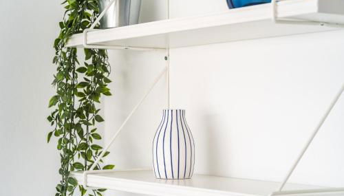 Akicity Ajuda Curl - Photo 5