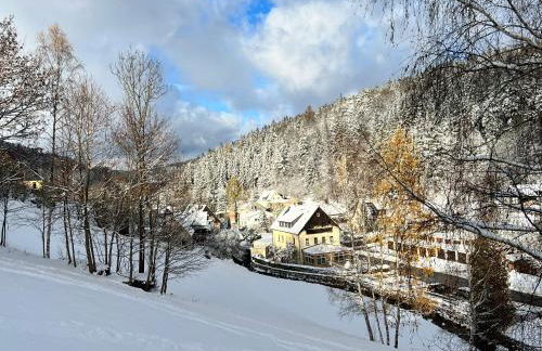 Urige Berghütte mit Kamin und Sauna im Erzgebirge nahe Schwarzwassertal - Foto 2