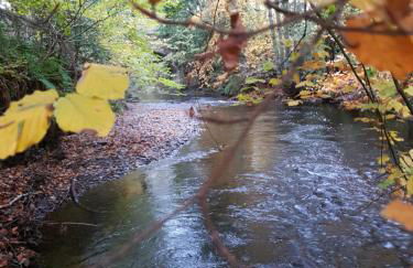 The Old Mill Cottage - Foto 58