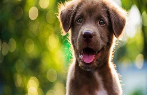 Holiday Home in Loubigne With Pool & Terrace - Foto 73